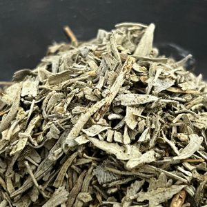 Blue Sage Leaves 蓝鼠尾草叶片