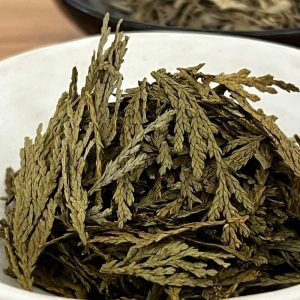 Cedar Leaves 雪松叶片