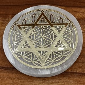 Lotus Display Plate 莲花摆设垫